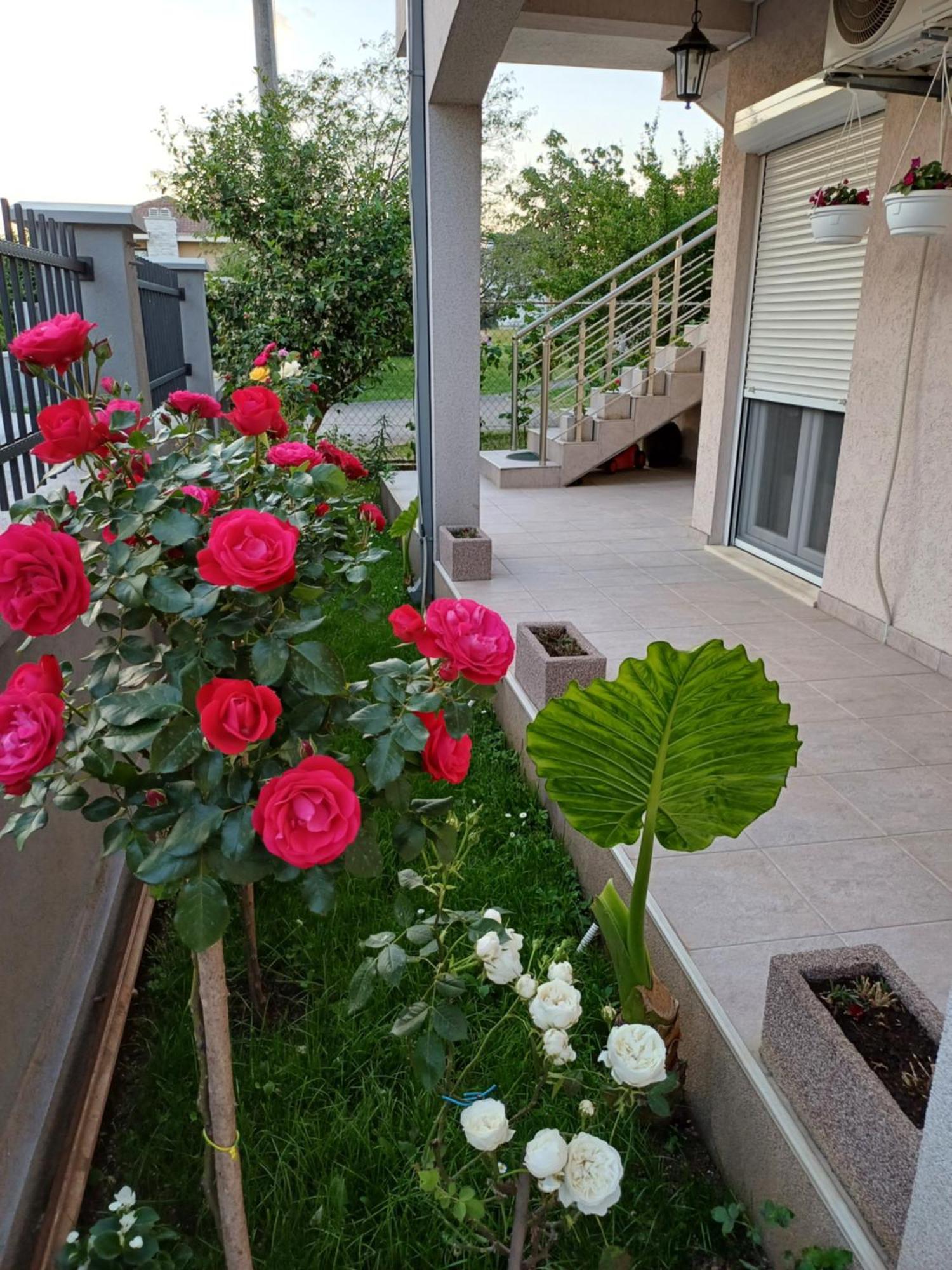 Entire House Floor - 2-Bedroom Cozy & Peaceful Apartment Podgoriçe Dış mekan fotoğraf